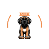 Coffee and Mastín Español