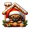 Carlin dort Noël