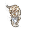 Guépard