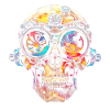 SkullPunk