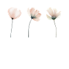 Elegante Blumen Elegant Flowers