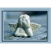 Angel in Blue