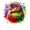 Kiwi Oiseau