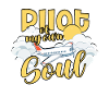 First solo flight pilot