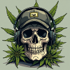 Skull With A Cap