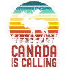 Canada moose