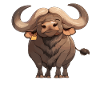 Buffalos Buffalo Büffel