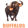 Buffalos Buffalo Büffel