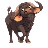 Buffalos Buffalo Büffel
