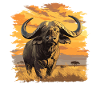 Buffalos Buffalo Büffel