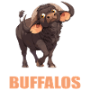 Buffalos Buffalo Büffel
