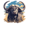 Buffles Buffalo Büffel