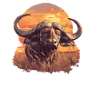 Buffalos Buffalo Büffel