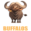 Buffalos Buffalo Büffel