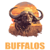 Buffles Buffalo Büffel