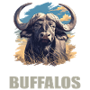 Buffalos Buffalo Büffel