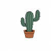 Cactus Cacti Desert Plant