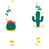 Cactus Cacti Desert Plant