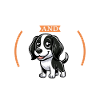 Kaffee und Stabyhoun