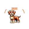 Coffee and Styrian Wirehaired Hound