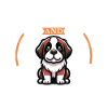 Café et Saint-Bernard