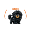 Coffee and Tibetan Mastiff