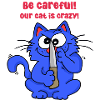 Attention notre chat est fou