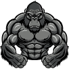 Muscles de gorille Fitness