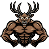 Deer Muscles Fitness