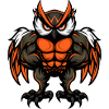 Owl Muscles Fitness