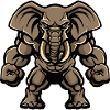 Elephant Muscles Fitness