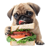 Mops