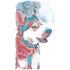 Husky Dog Pastel