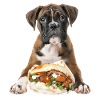 Boxer