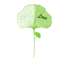 Ginkgo Liebe Ginkgo Love