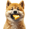 Akita