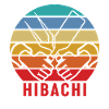 Hibachi Teppanyaki Bbq Japanese Cuisine