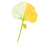 Ginkgo-Blatt-Kunst Ginkgo Leaf Art