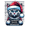 Santa Claus Funny Cats Christmas