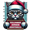 Santa Claus Funny Cats Christmas