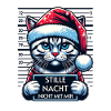 Santa Claus Funny Cats Christmas