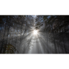Season of Silence