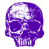 Purple Skull