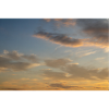 Under morning sky