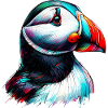 Puffin
