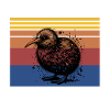 Save Kiwi