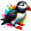 Puffin