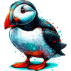 Puffin