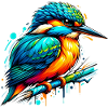 Eisvogel