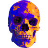 Bunter Skull